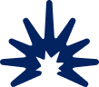 Serviços