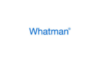 Whatman